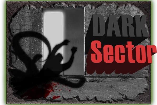 Dark Sector