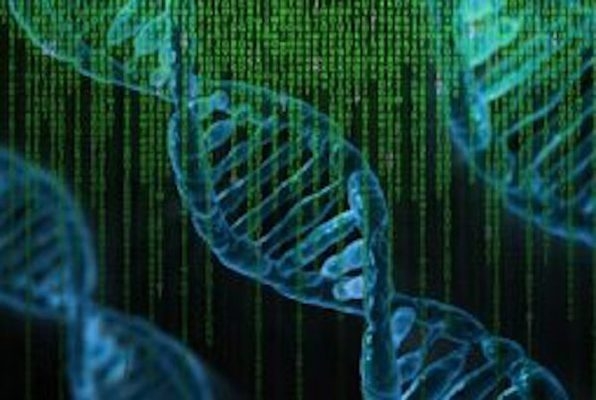 S.C. Labs Inc.