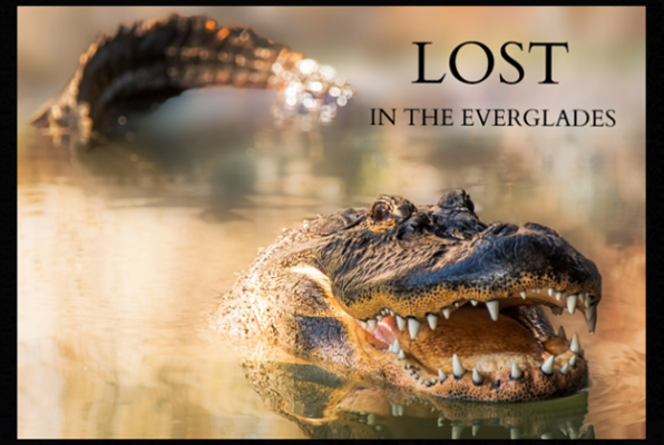 Lost in the Everglades