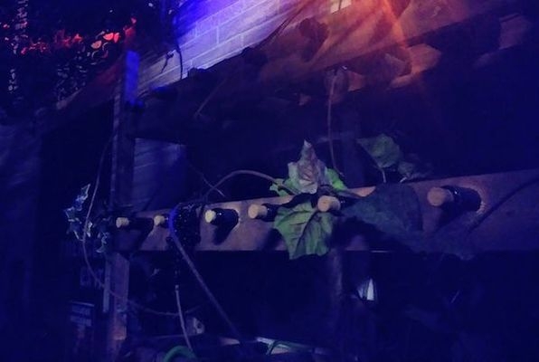 The Wine Cellar Terror