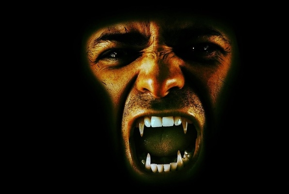 Curse of Dracula: Destroy the Vampire!