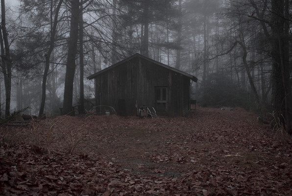 The Cabin