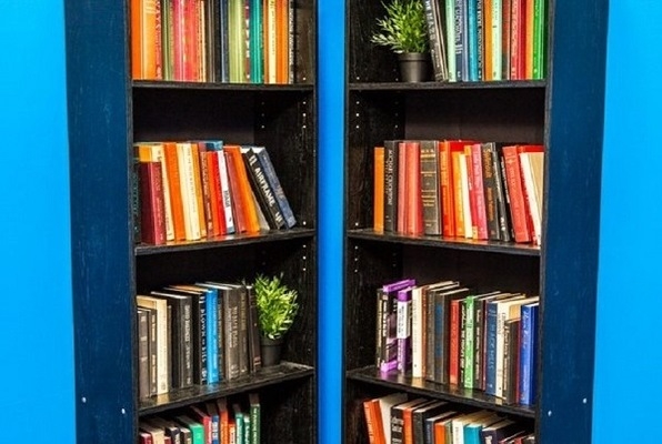 The Study