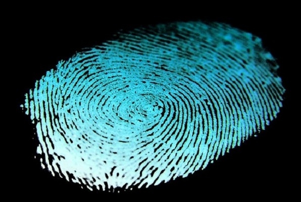 Forensic Rush