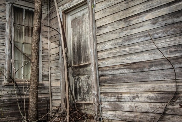 The Cabin