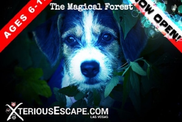 The Magical Forest