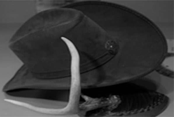 Western Whistle