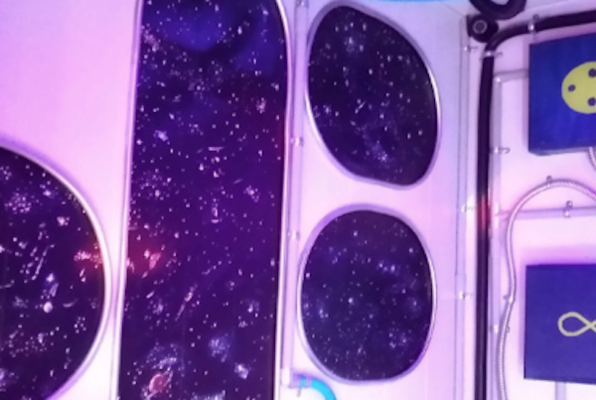 Fermi's Spaceship