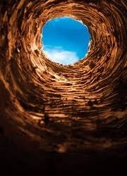 Down The Rabbit Hole