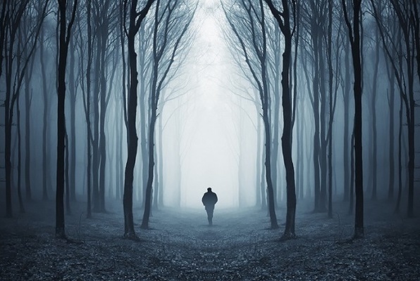 Escape the Forest