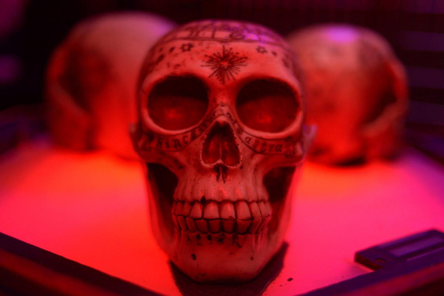 Chamber of Horrors