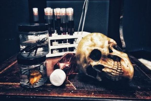 Phase III: Human Trials