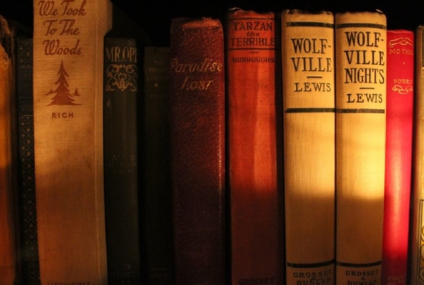 The Storykeeper