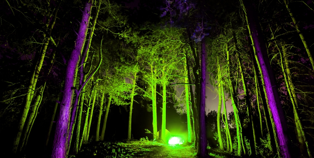 Survival Summer Camp