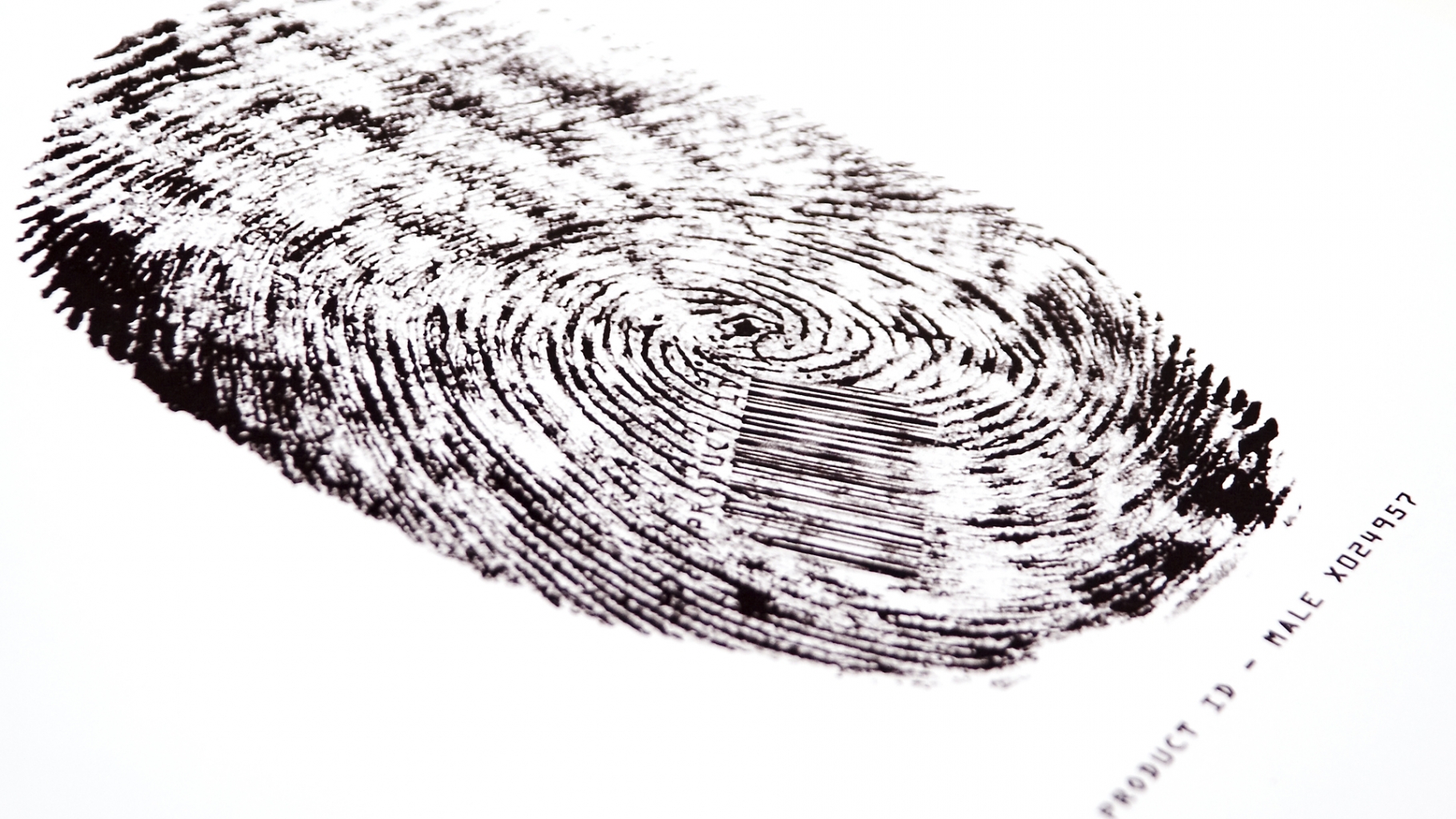 The Unexplained Files