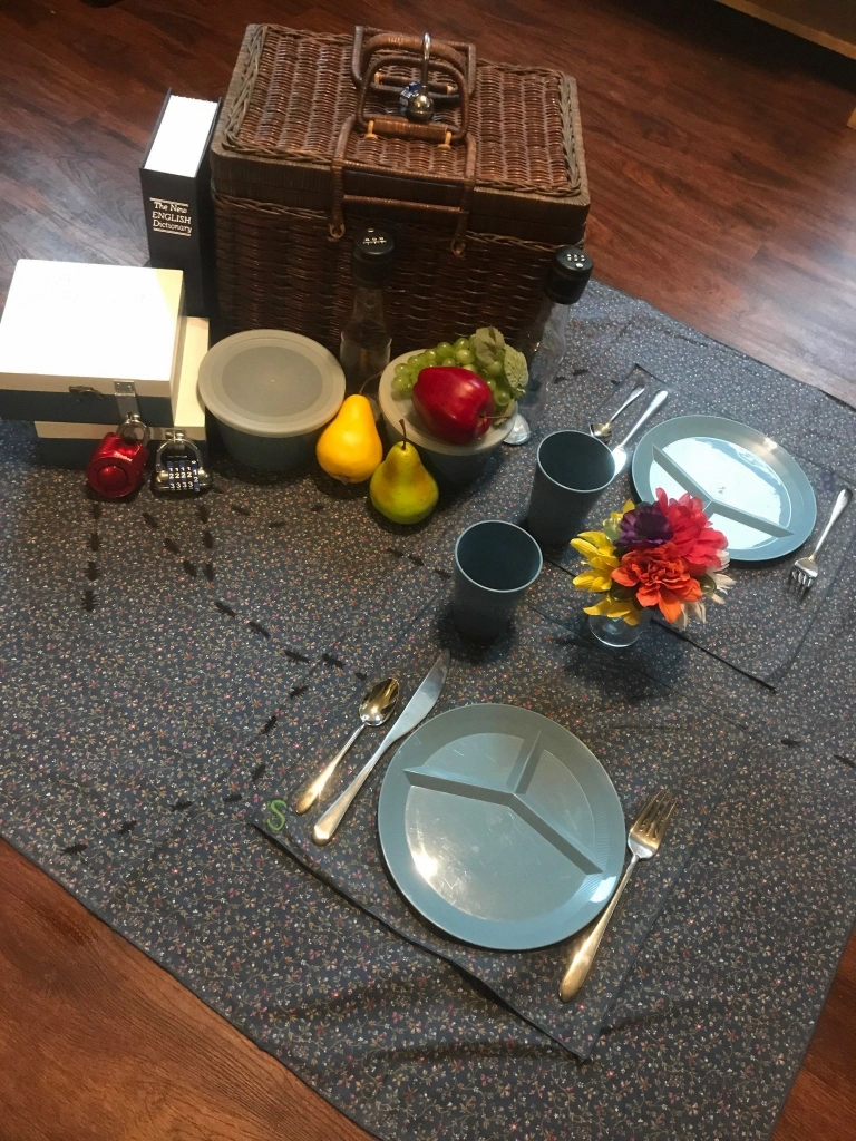 The Picnic Basket