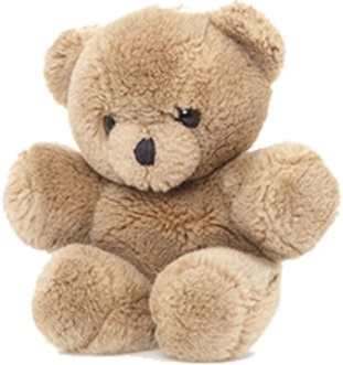 The Lost Teddy Bear