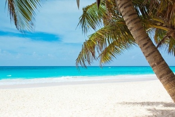 Island Paradise