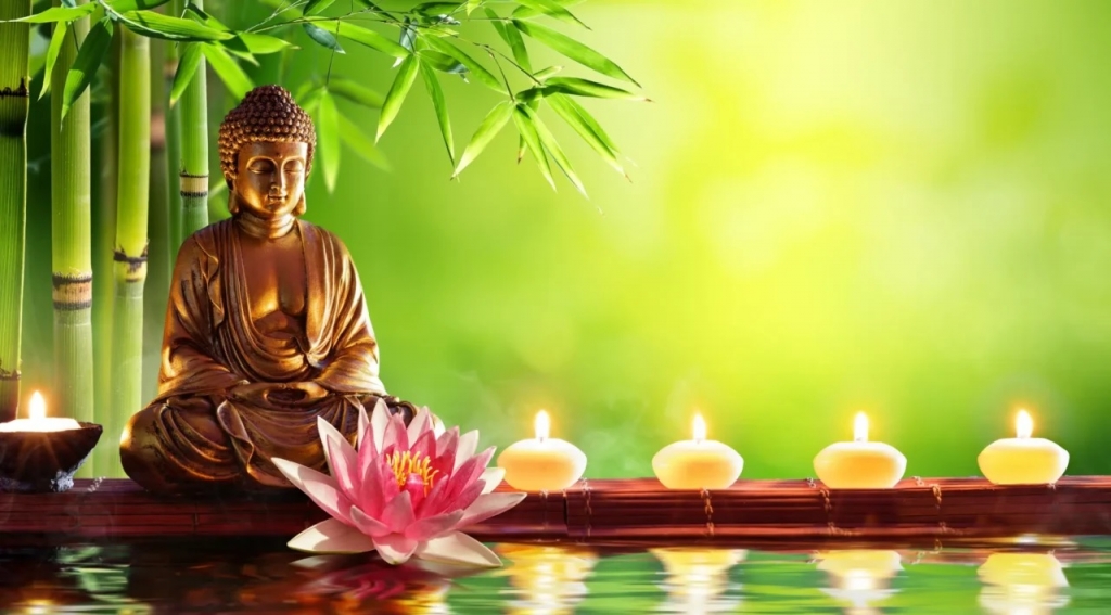 The Sacred Lotus