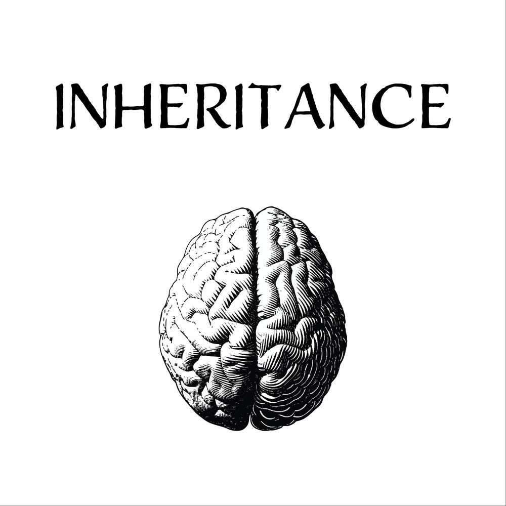 Inheritance