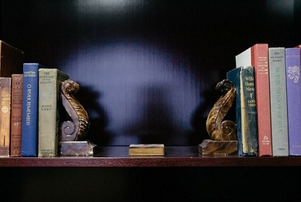 The Vampire's Study