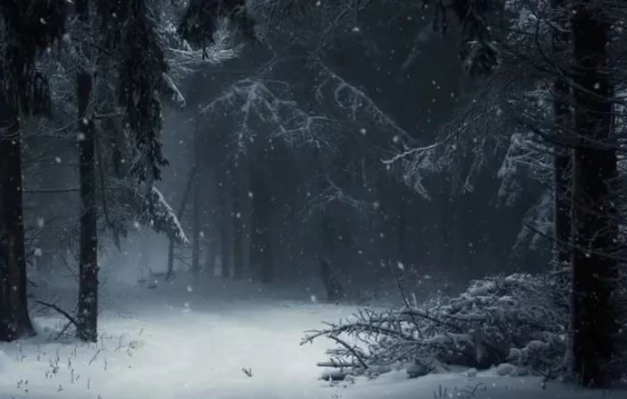 Beware The Yeti